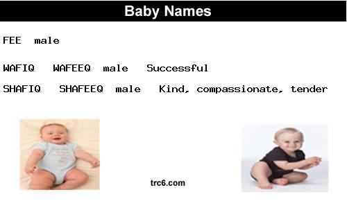 wafiq---wafeeq baby names
