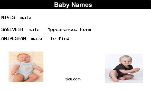 nives baby names