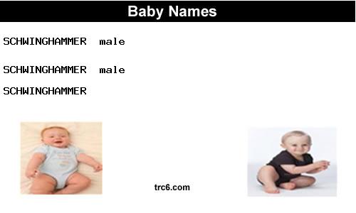 schwinghammer baby names