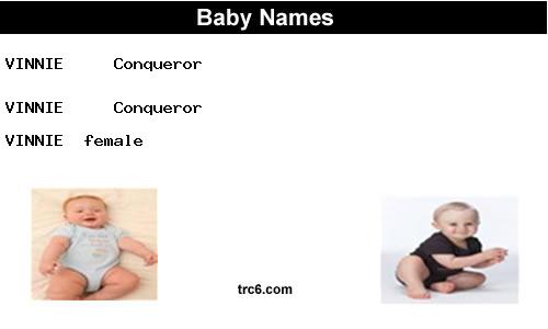vinnie baby names
